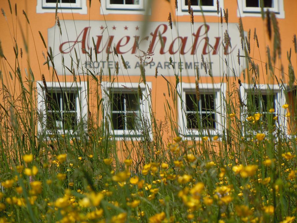 Hotel & Appartement Auerhahn Обертауэрн Экстерьер фото